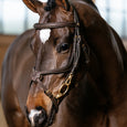 LeMieux Kudos Grackle Work Bridle