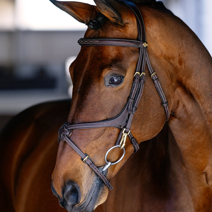 LeMieux Kudos Grackle Work Bridle