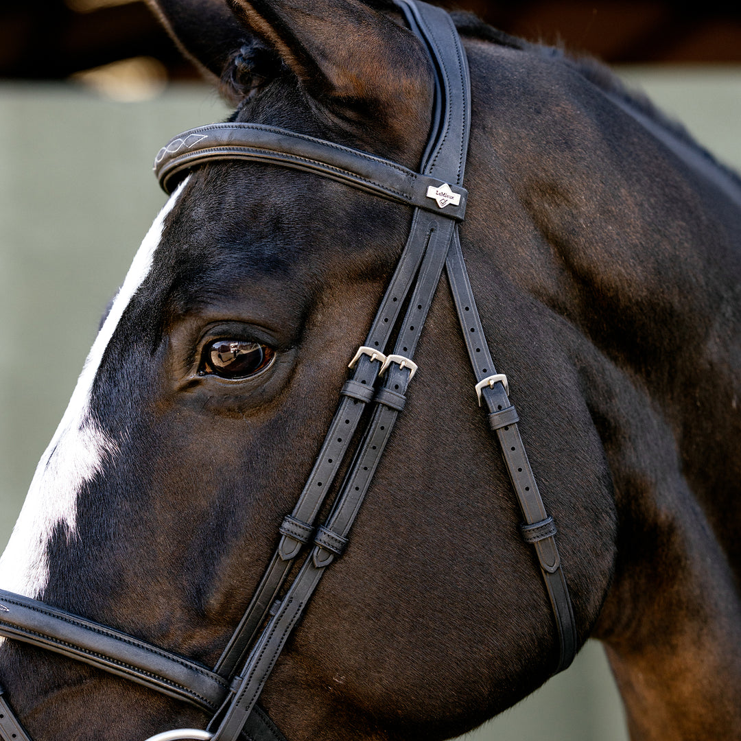 LeMieux Classique Flash Bridle