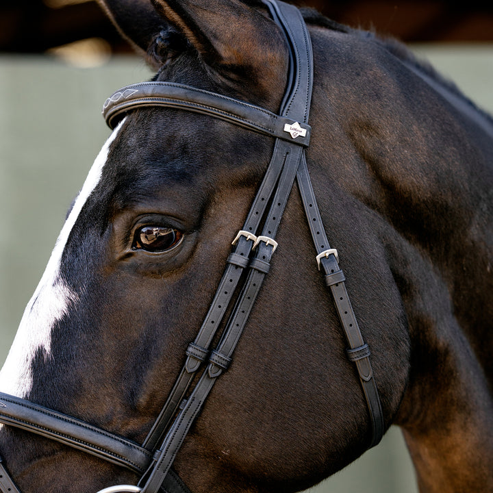 LeMieux Classique Flash Bridle