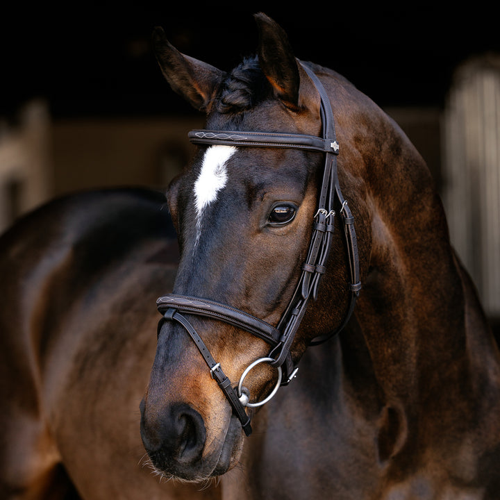 LeMieux Classique Flash Bridle