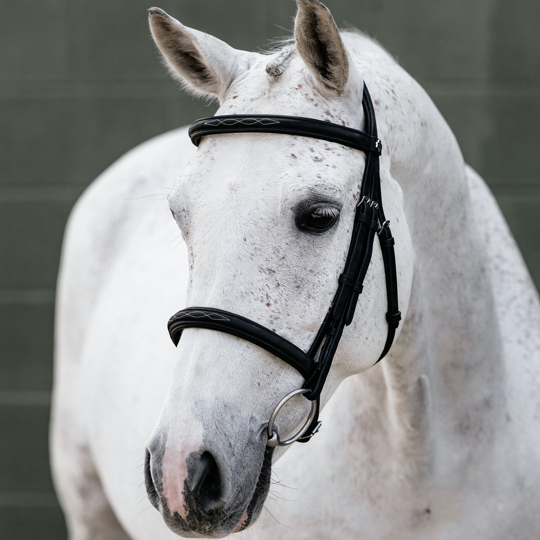 LeMieux Classique Cavesson Bridle