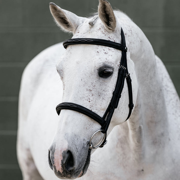 LeMieux Classique Cavesson Bridle