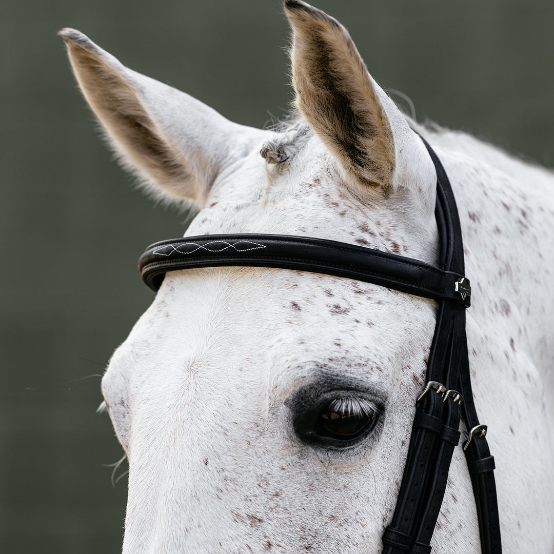 LeMieux Classique Cavesson Bridle