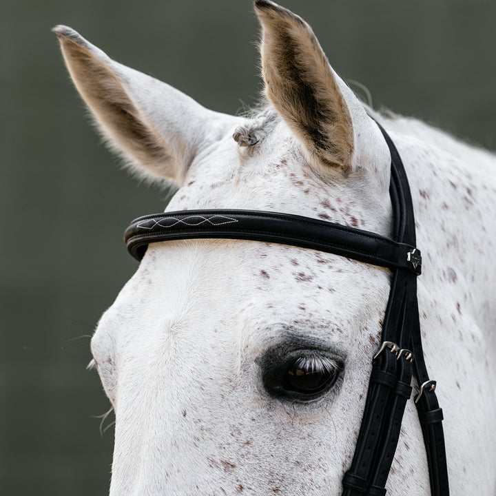 LeMieux Classique Cavesson Bridle