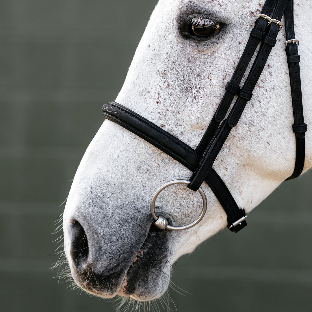 LeMieux Classique Cavesson Bridle