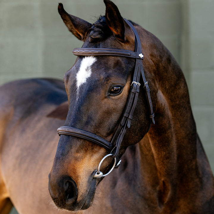 LeMieux Classique Cavesson Bridle