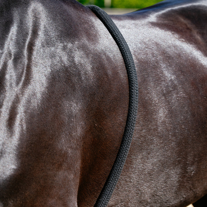 LeMieux Rope Lunging Aid
