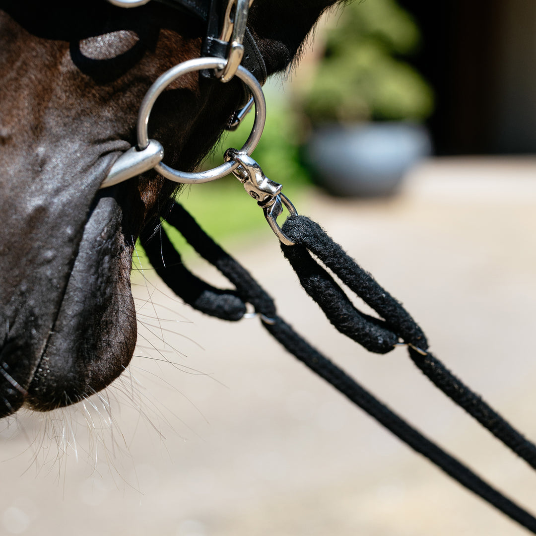 LeMieux Rope Lunging Aid