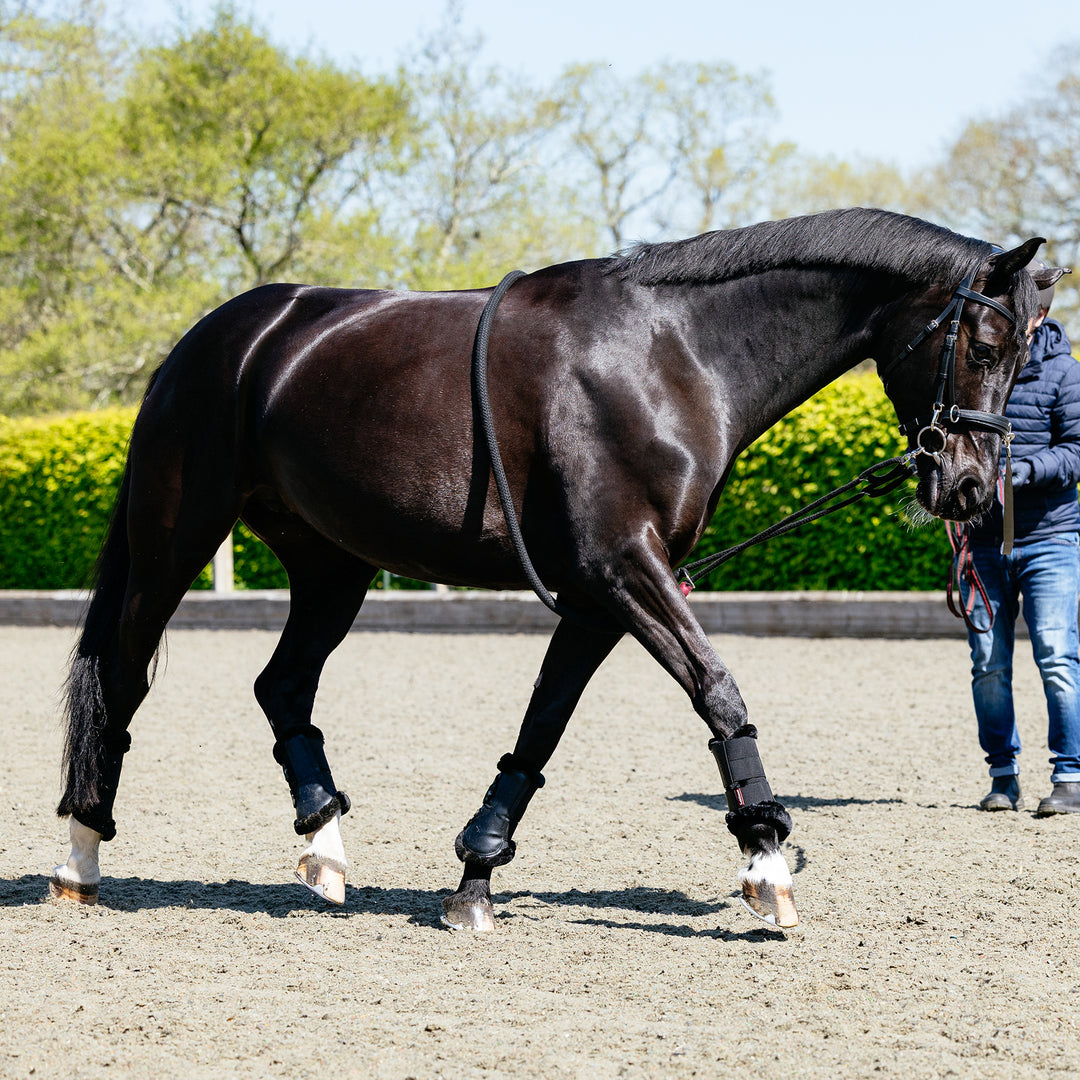 LeMieux Rope Lunging Aid