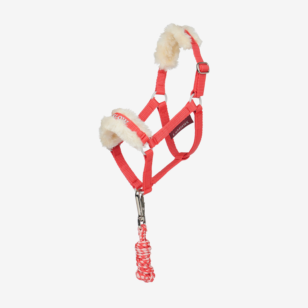 LeMieux Harlow Hobby Horse Headcollar & Leadrope - Coral Crush