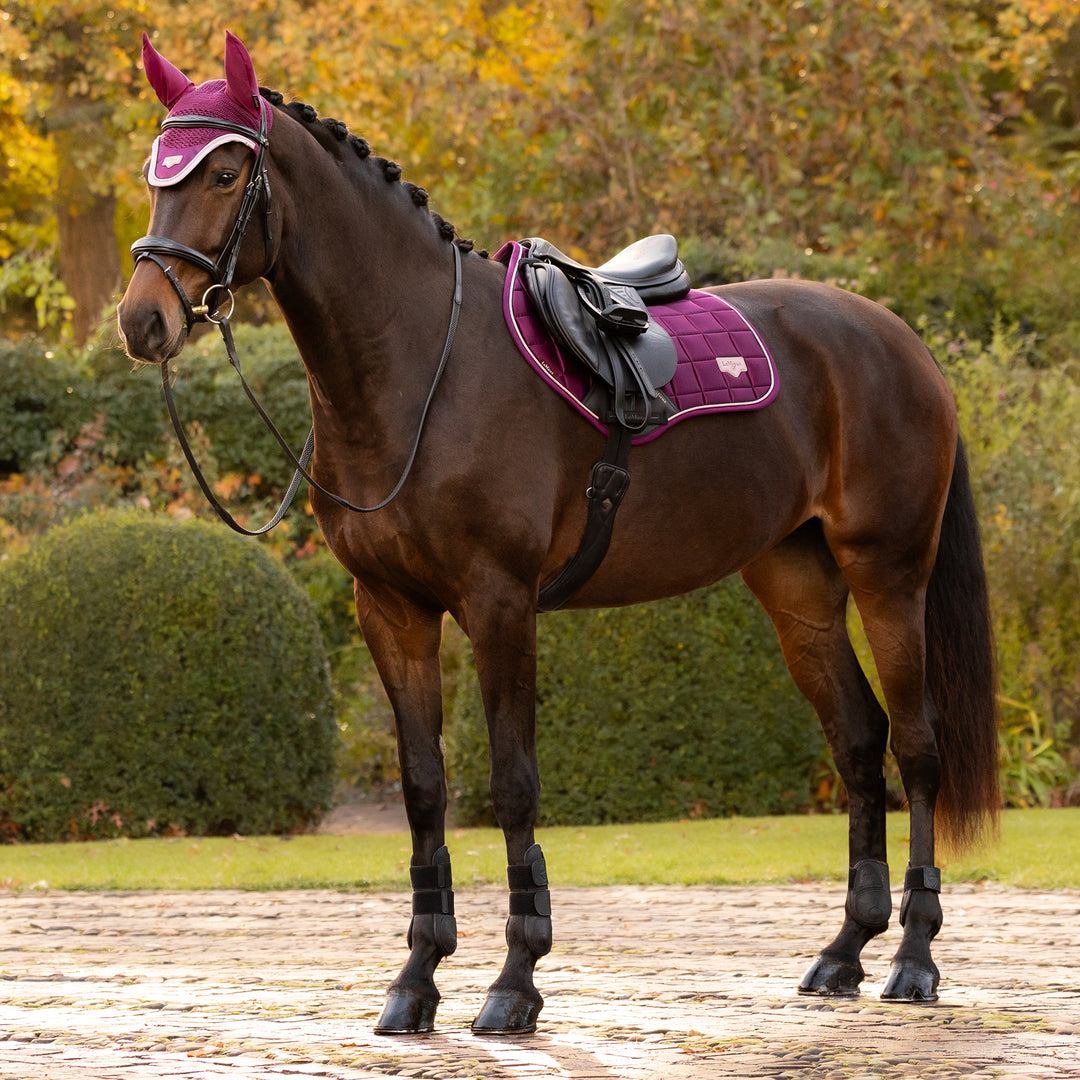 LeMieux Loire Classic Close Contact Square - Blackberry