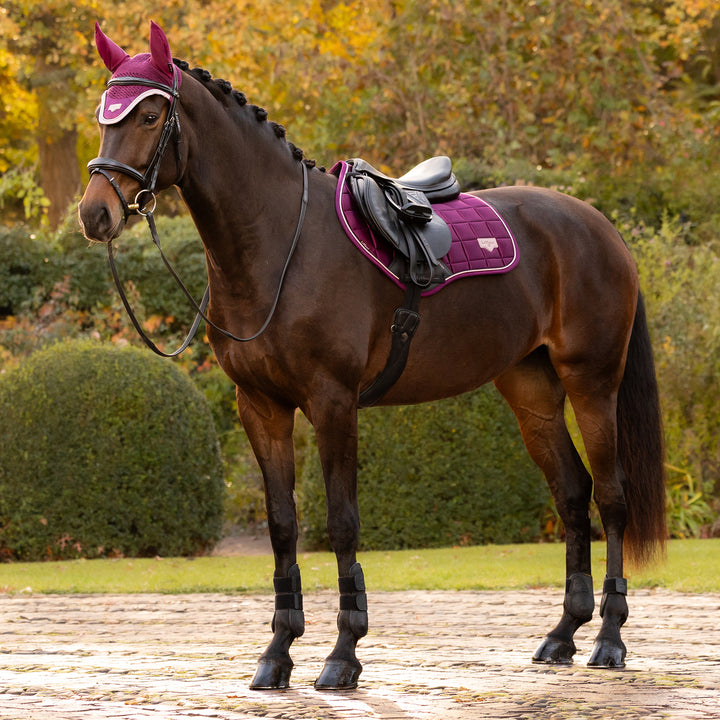 LeMieux Loire Classic Close Contact Square - Blackberry