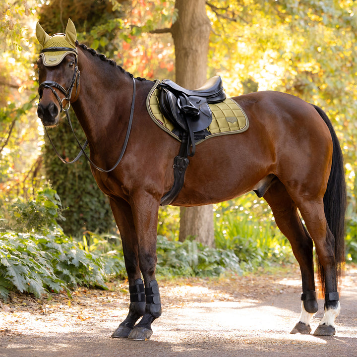 LeMieux Loire Classic Close Contact Square - Gooseberry