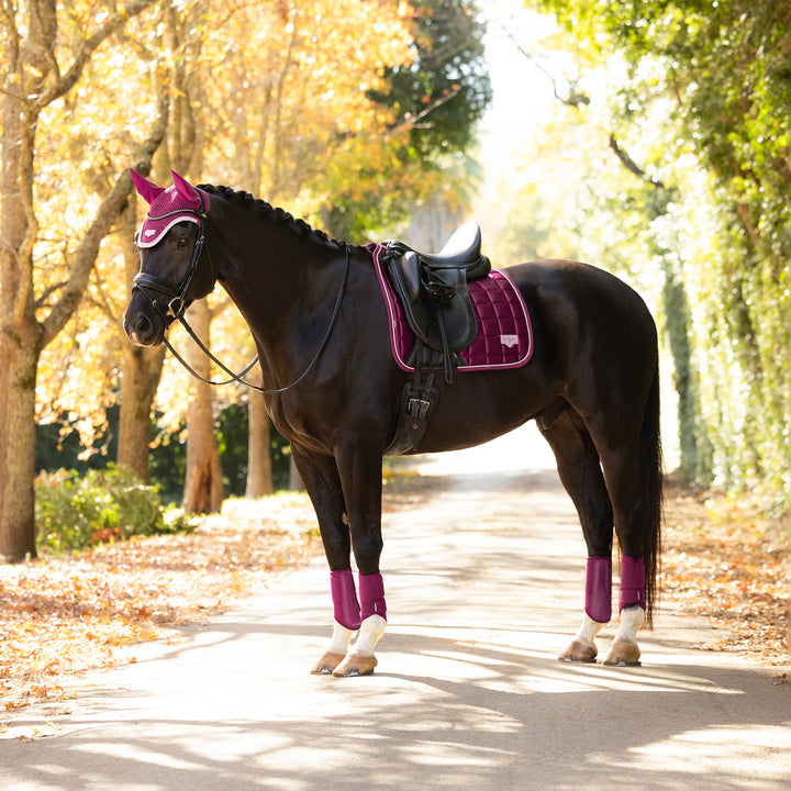LeMieux Loire Classic Dressage Square - Blackberry