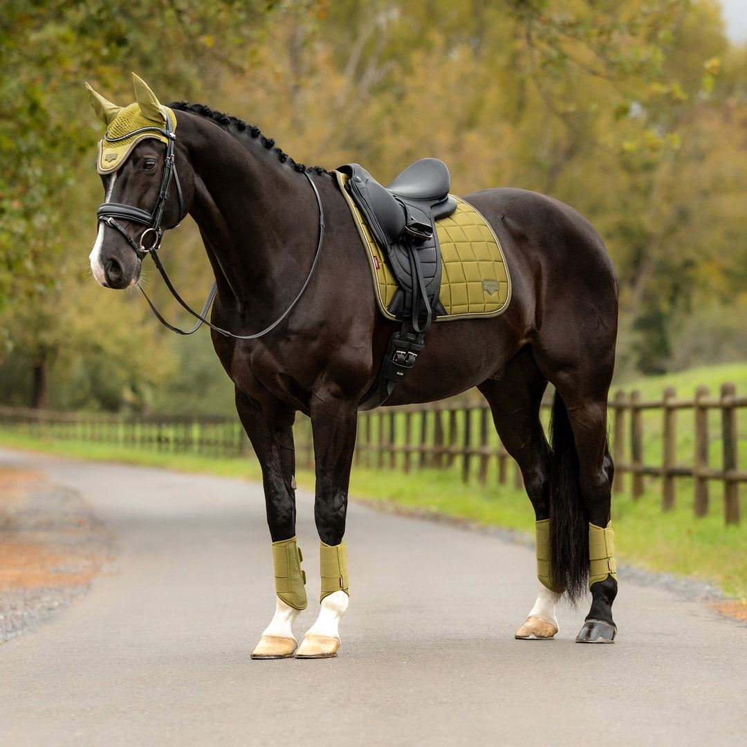 LeMieux Loire Classic Dressage Square - Gooseberry