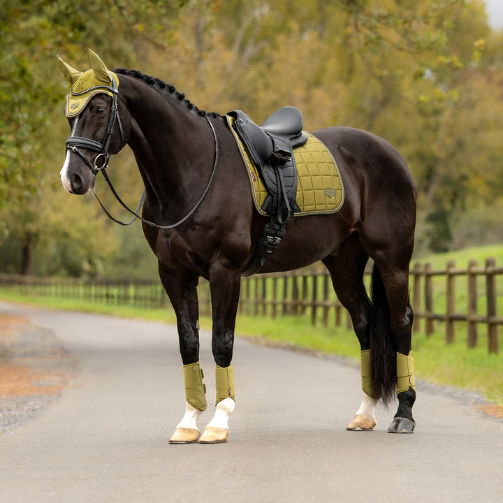 LeMieux Loire Classic Dressage Square - Gooseberry