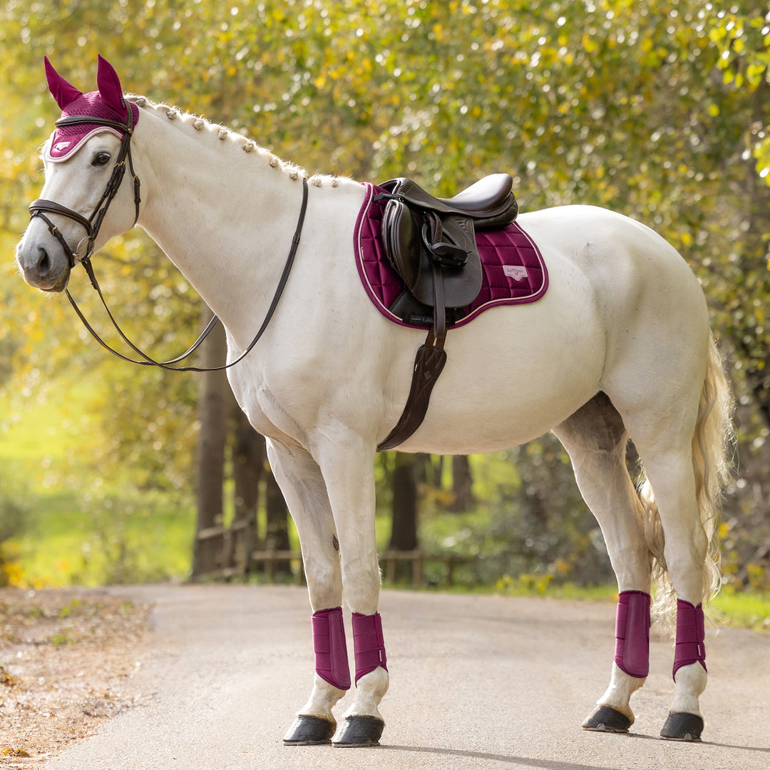 LeMieux Loire Classic GP Square - Blackberry