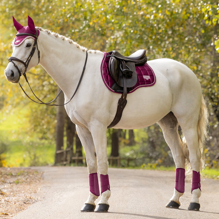 LeMieux Loire Classic GP Square - Blackberry