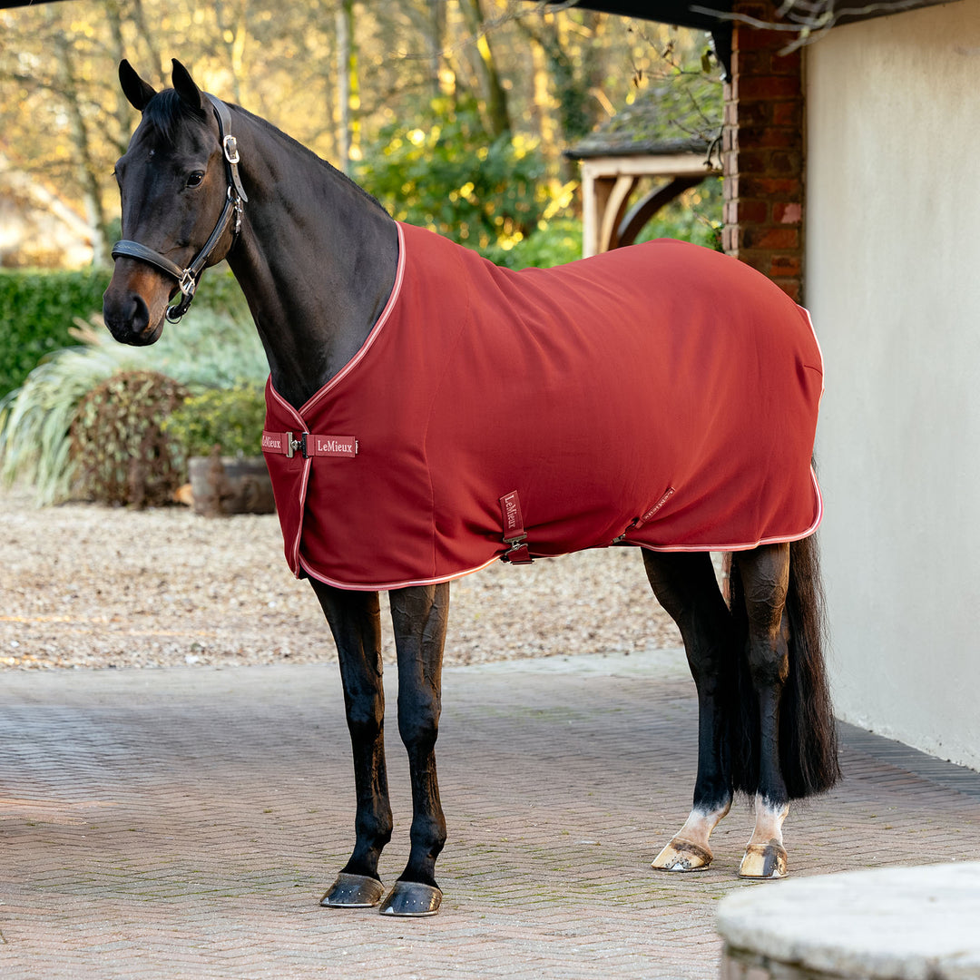 LeMieux Arika Jersey-Tek Fleece - Russet