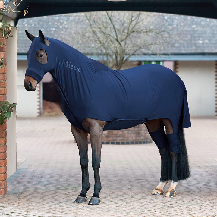 LeMieux Stretch Show Rug