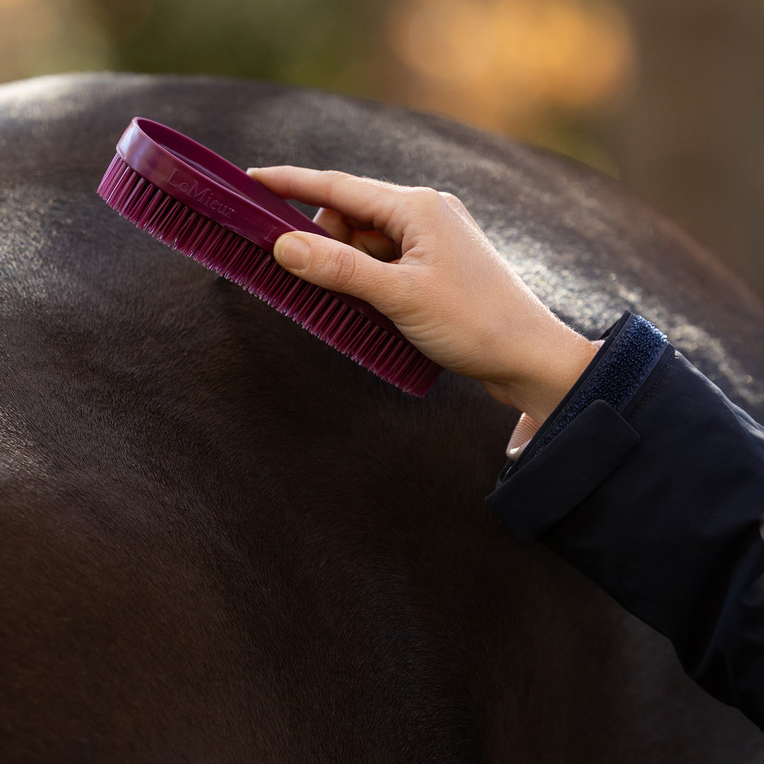 LeMieux Wizard Brush Trio - Wild Rose/Blackberry/Willow
