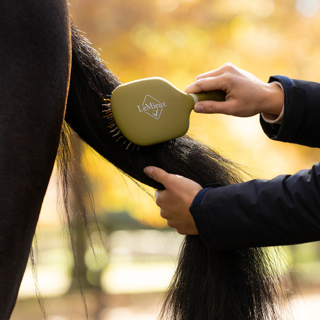 LeMieux Tangle Tidy - Gooseberry