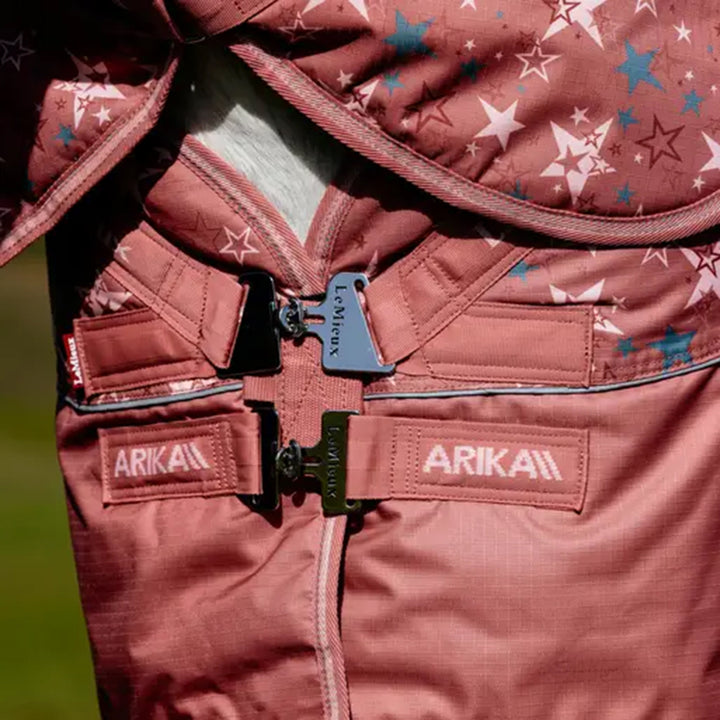 LeMieux Arika Star 100g Turnout Rug - Spiced Earth