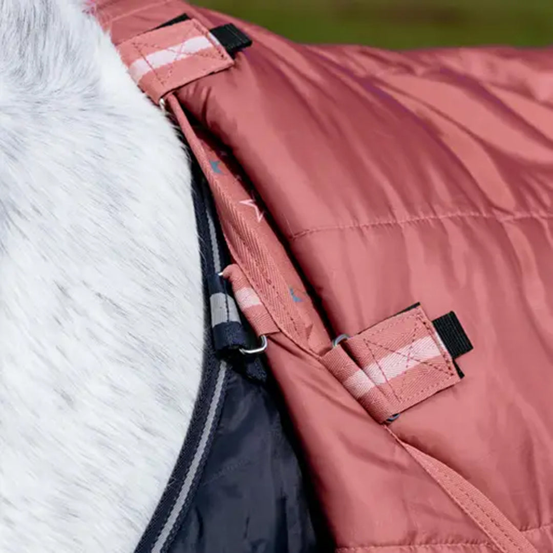 LeMieux Arika Star 100g Turnout Rug - Spiced Earth