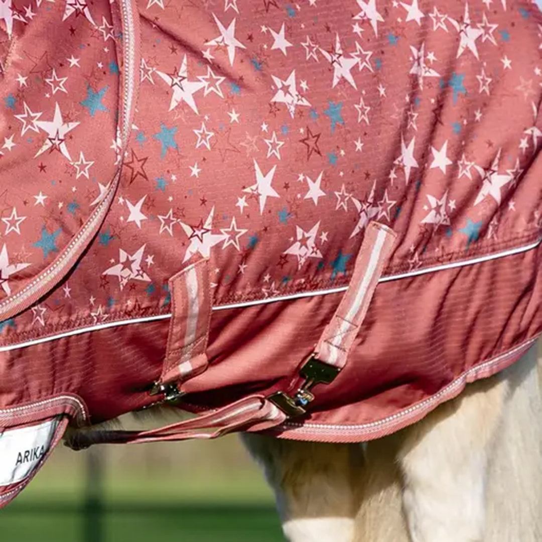 LeMieux Arika Star 100g Turnout Rug - Spiced Earth