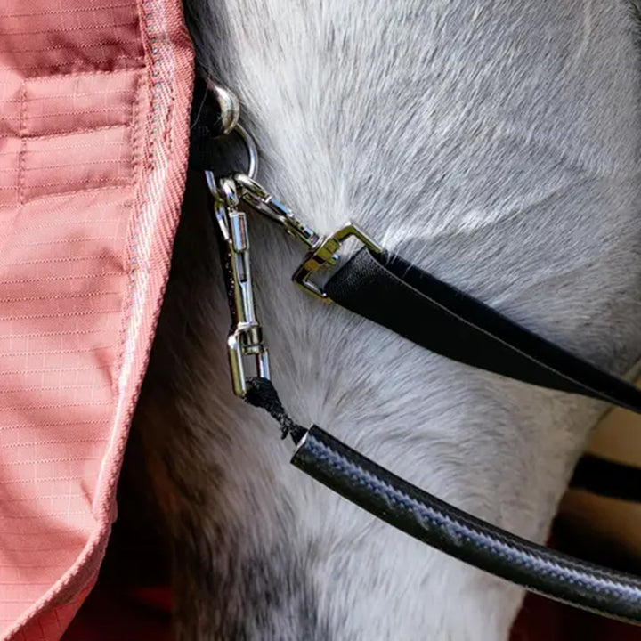 LeMieux Arika Star 100g Turnout Rug - Spiced Earth