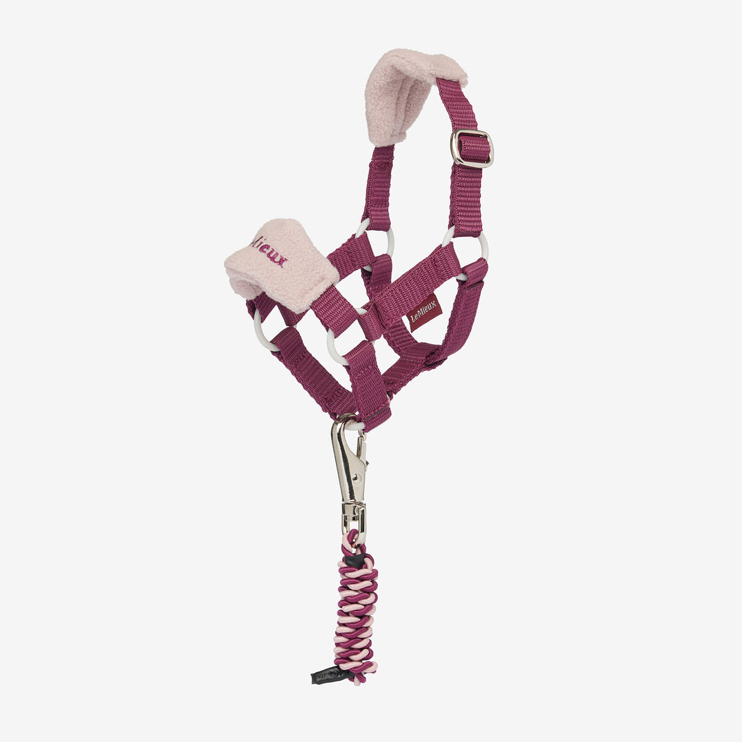 LeMieux Toy Pony Vogue Headcollar & Leadrope - Blackberry