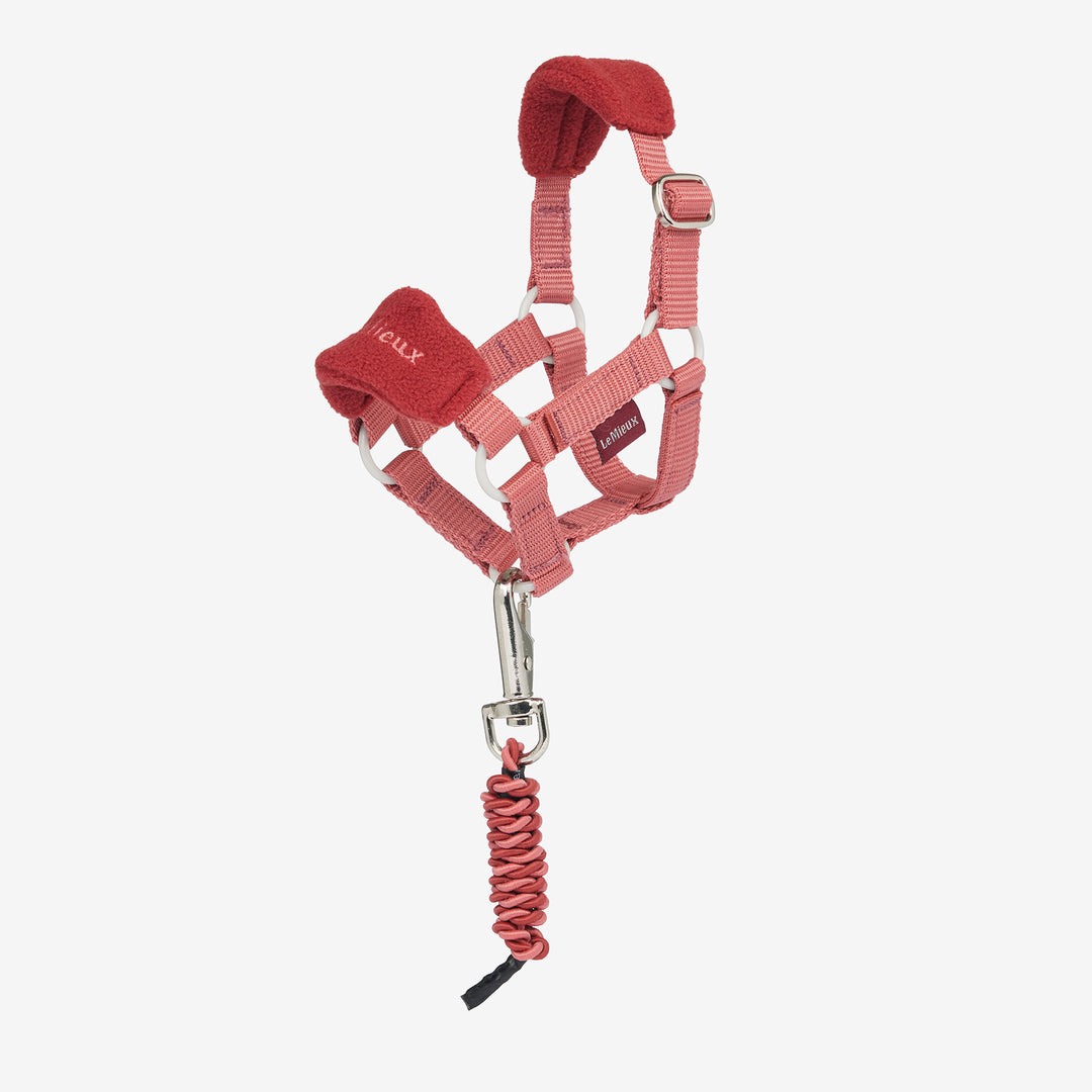LeMieux Toy Pony Vogue Headcollar & Leadrope - Spiced Earth