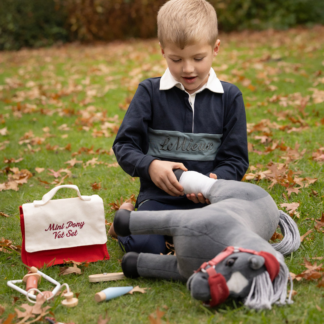 LeMieux Toy Pony Vet Set Multi