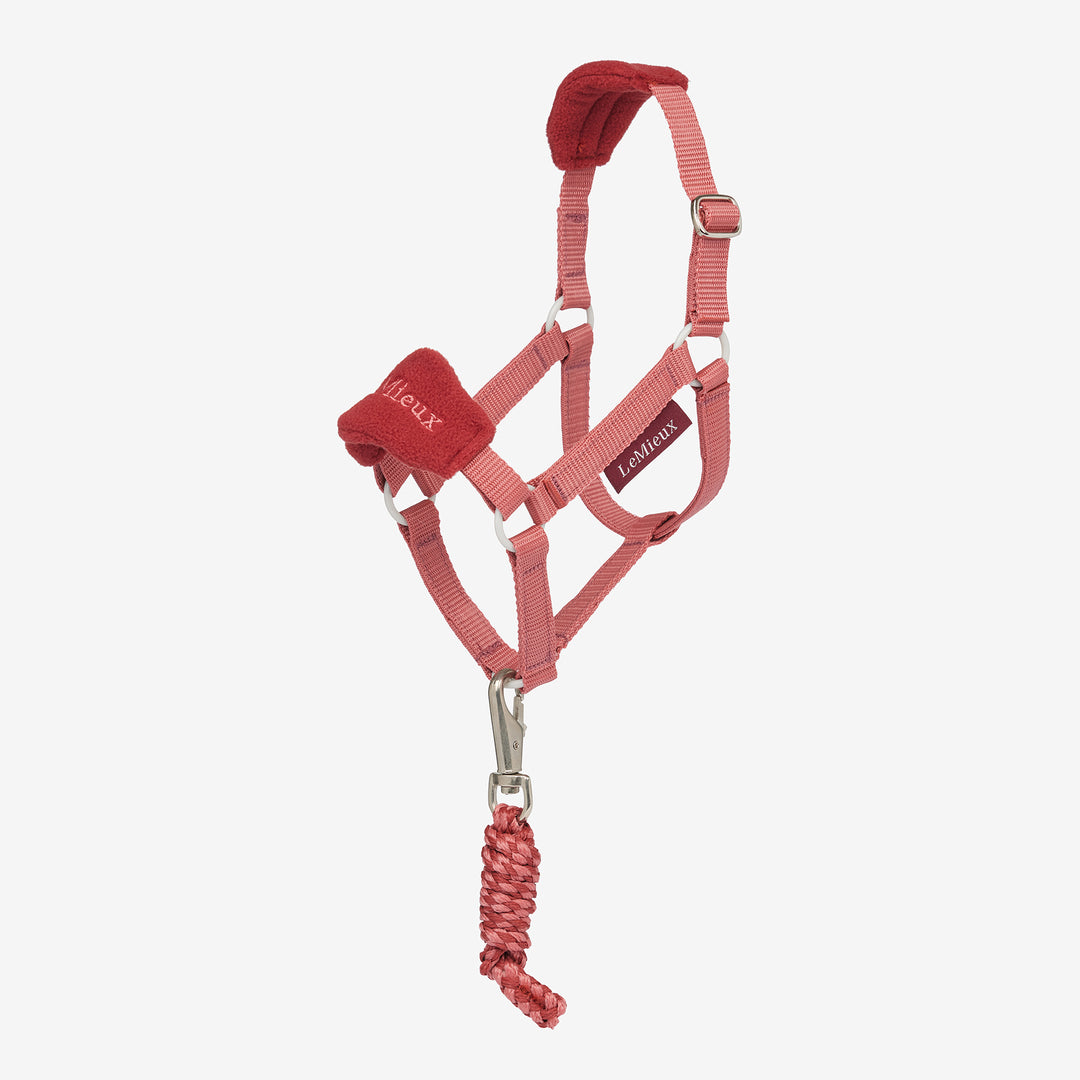 LeMieux Hobby Horse Vogue Headcollar & Leadrope - Spiced Earth