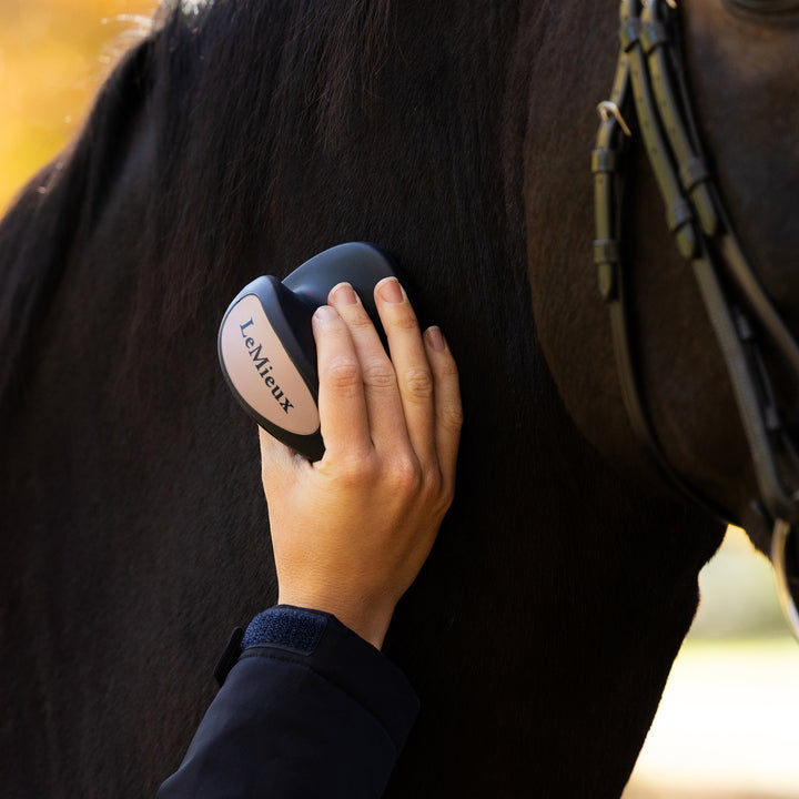 LeMieux Massage Brush - Navy