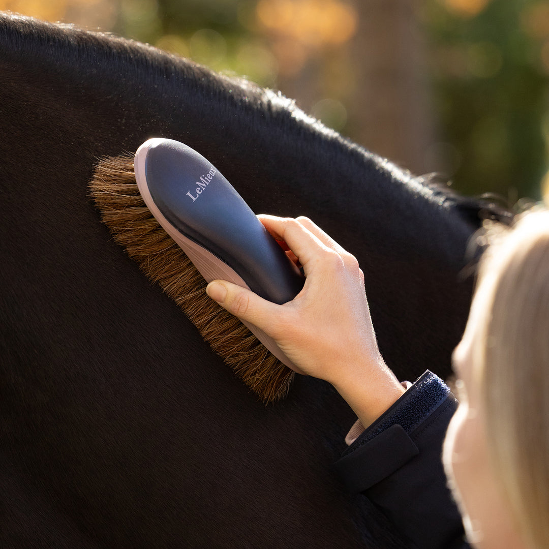 LeMieux Dandy Brush - Navy