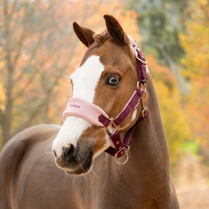 LeMieux Vogue Headcollar & Leadrope - Blackberry