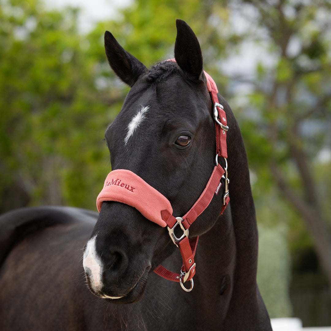 LeMieux Vogue Headcollar & Leadrope - Russet