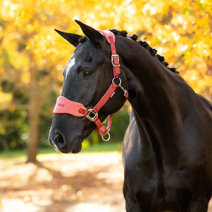 LeMieux Vogue Headcollar & Leadrope - Russet