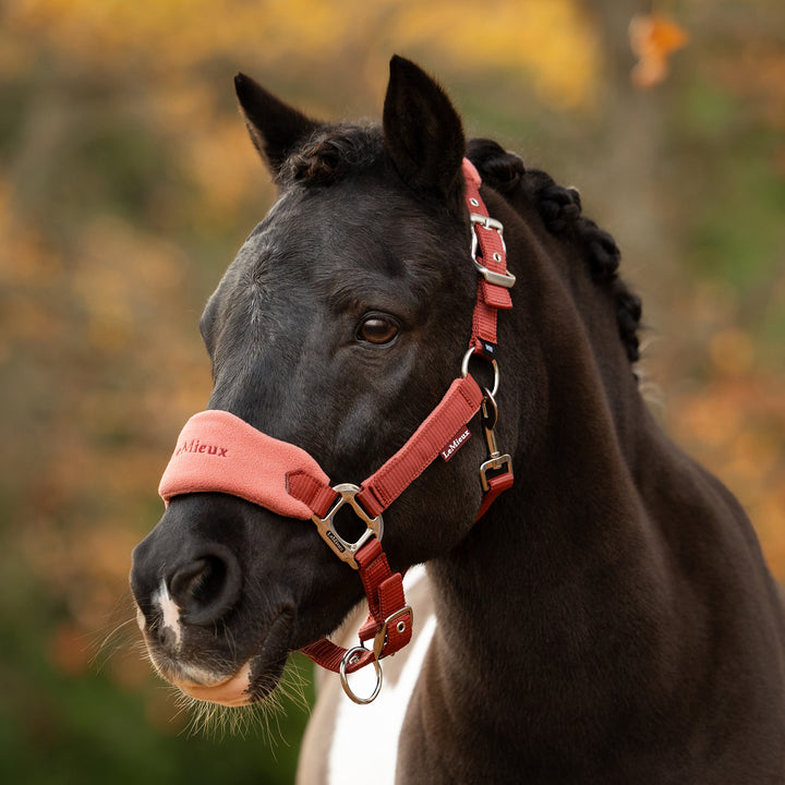 LeMieux Vogue Headcollar & Leadrope - Russet