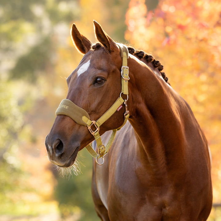 LeMieux Vogue Headcollar & Leadrope - Gooseberry