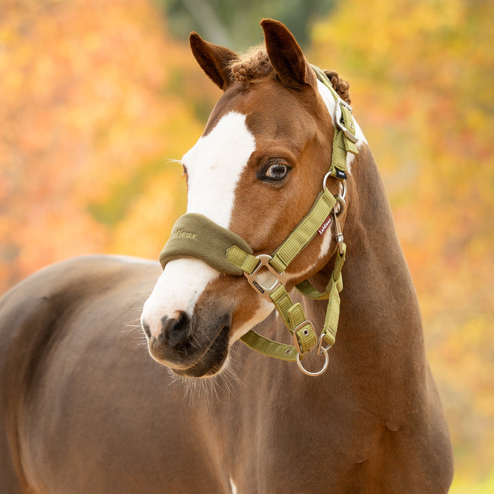LeMieux Vogue Headcollar & Leadrope - Gooseberry