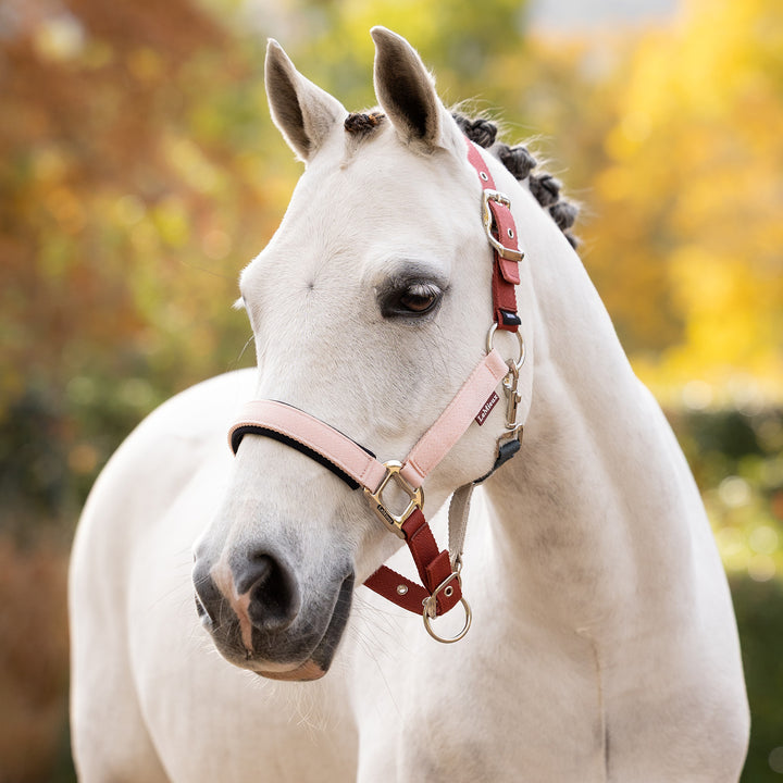 LeMieux Medley Headcollar - Spiced Earth/Petal/Aloe