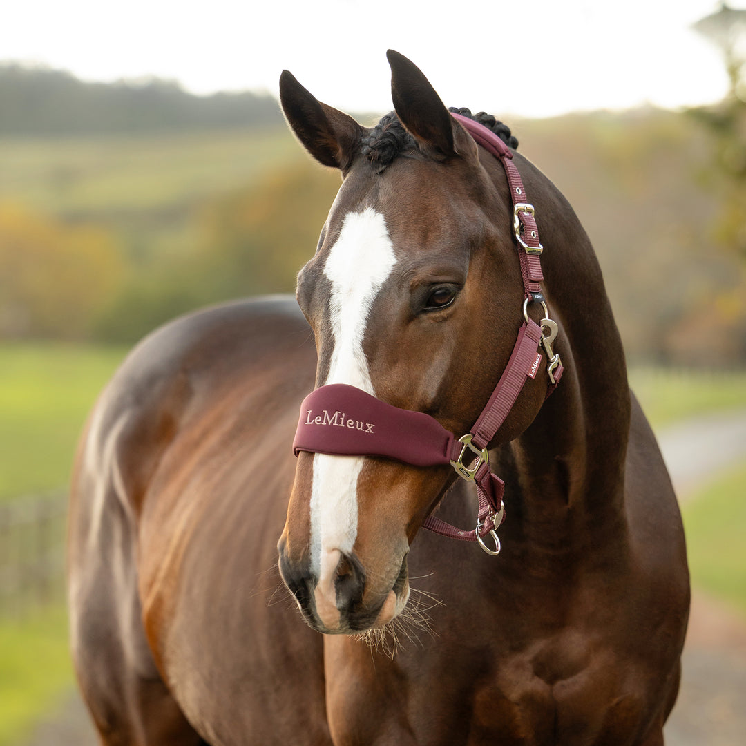 LeMieux Breakaway Vogue Headcollar & Leadrope - Bramble