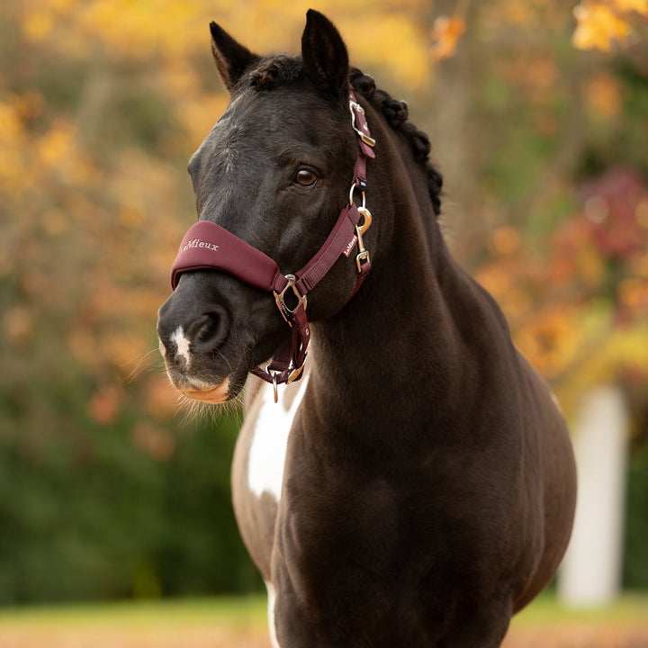 LeMieux Breakaway Vogue Headcollar & Leadrope - Bramble