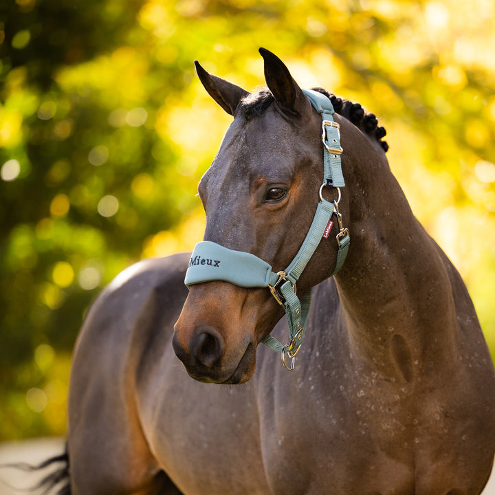 LeMieux Breakaway Vogue Headcollar & Leadrope - Aloe