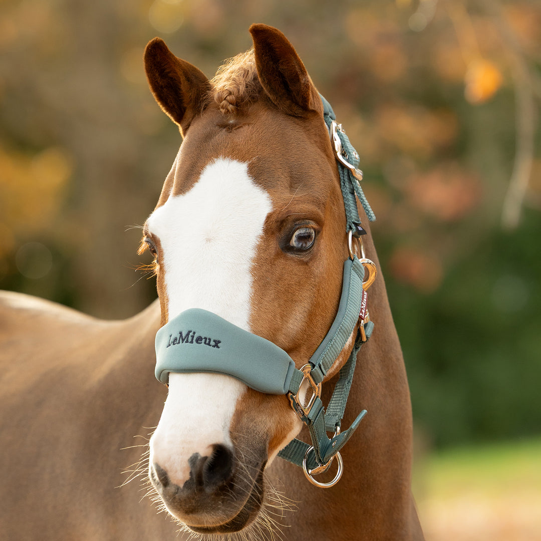 LeMieux Breakaway Vogue Headcollar & Leadrope - Aloe