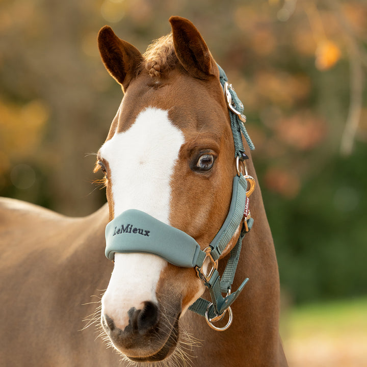 LeMieux Breakaway Vogue Headcollar & Leadrope - Aloe