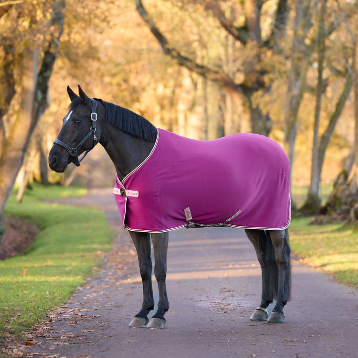 LeMieux Arika Jersey-Tek Fleece - Blackberry